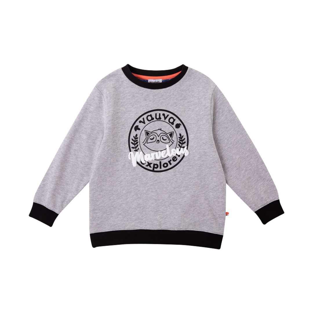 Vauva Boys Raccoon Marvelous Sweatshirt - Grey - My Little Korner