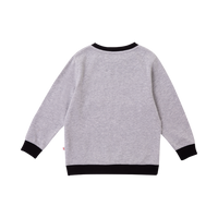 Vauva Boys Raccoon Marvelous Sweatshirt - Grey - My Little Korner